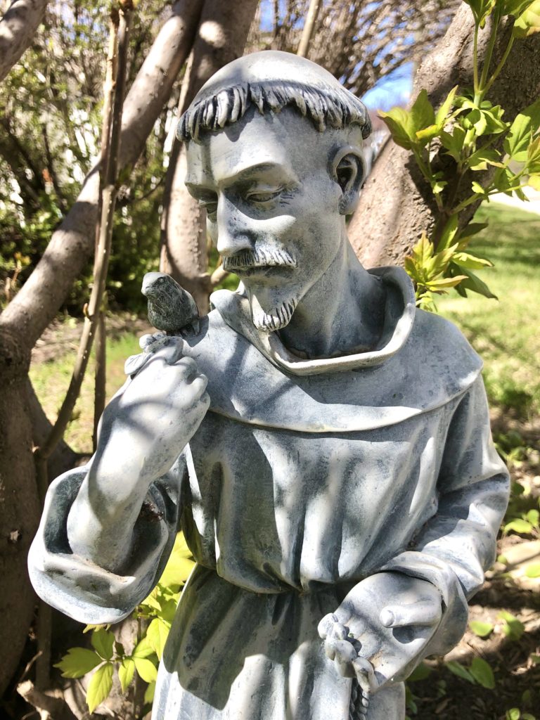 St. Francis Statue, Locke Garden - Kolbe Times